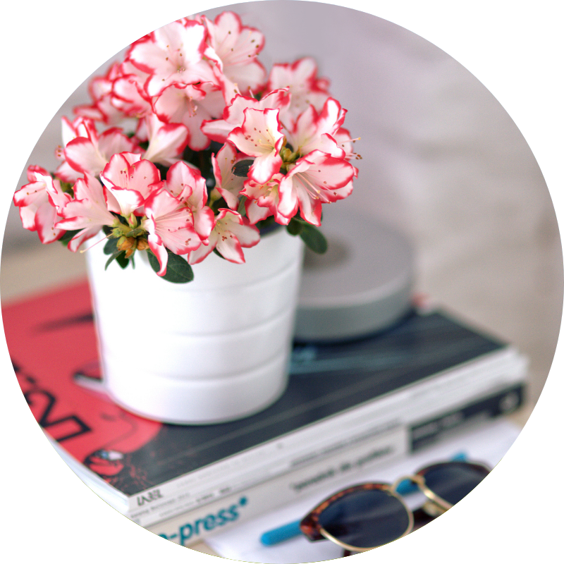 Turning a Seasonal Moment into a Culture-Building Opportunity